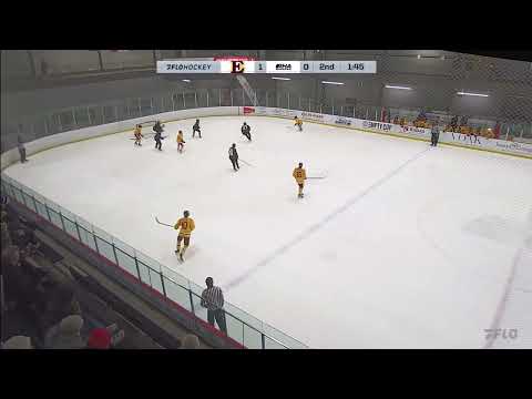 Pass Through Seam For Goal