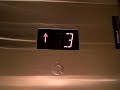 Schindler Elevator at Macy\
