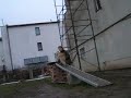 Vigo dogwalk