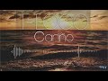 t – Loco - Cariño (Produced by Thrace Music)
