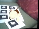 DART the Dog, clip 3