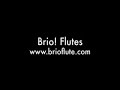nina perlove flute lesson: kmea all state flute part 2