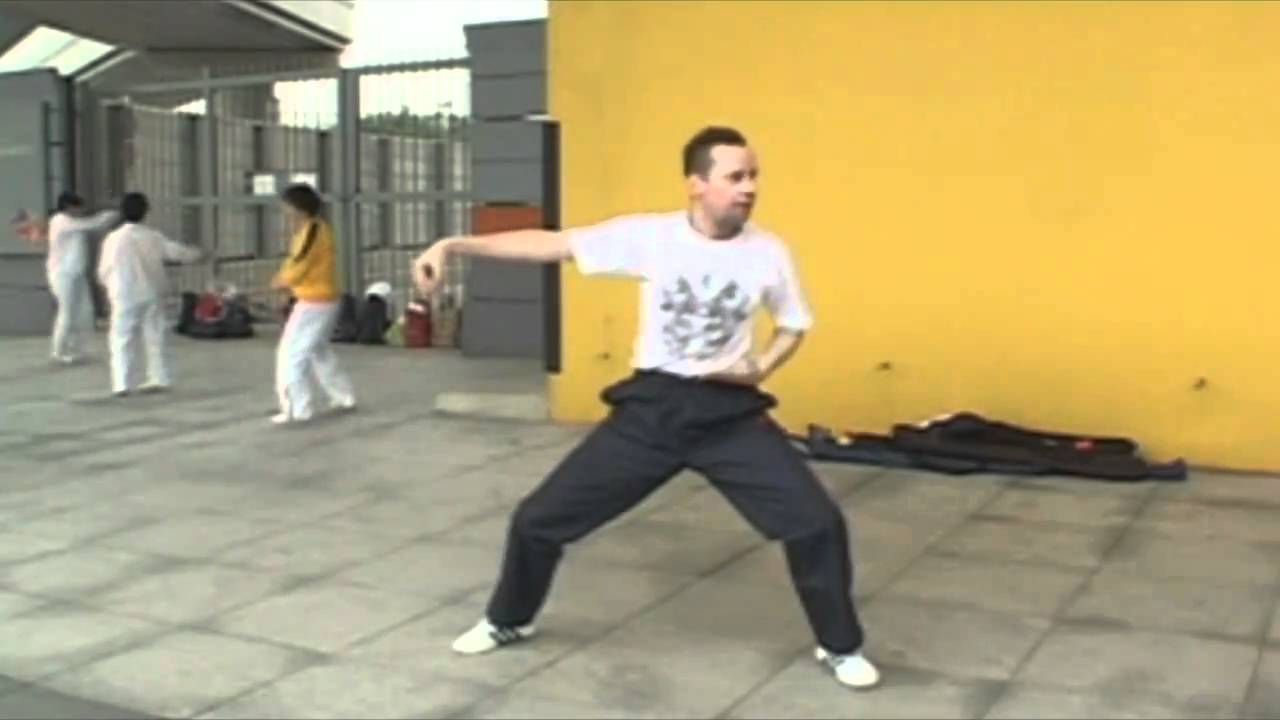 Chen Style Tai Ji Quan Form 32