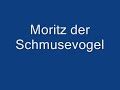 Nymphensittich Kopf-Massage
