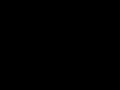 Video 0086.mp4