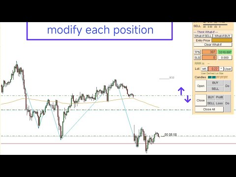 modify position's tp/sl one by one