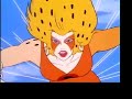 Cheetara Tribute