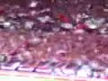 URAWAï½žï¼