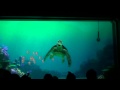 東京ディズニーシー ☆タートル・トーク☆2-1