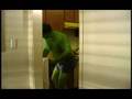 HULK-Smashed