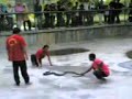 snake show