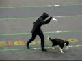 Dog Repels Dementor Attack
