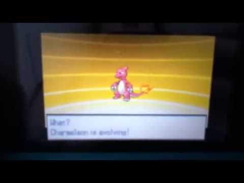 charzard