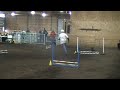 Scottie agility (MAC!)