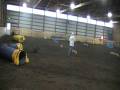 videos de Scottie agility (MAC!)