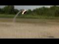 Trex600N @ TBP 14 June 2007