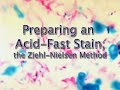 Preparing an Acid-Fast Stain using the Ziehl-Nielsen Method