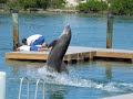 Florida Diving