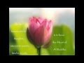 Heart of a Buddha (Part 1 - Wisdom)