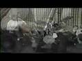 Ed Bickert Trio - Never Been In Love Before