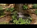 The Bennetts: Central Texas Gardener The Bennetts: Central Texas Gardener