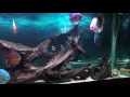 Discus 120G HD