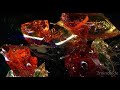 New Music Video with Jose Gonzalez