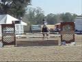 Angel at HITS Ocala