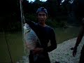 pancing - Lamakoh - ikan tengalan