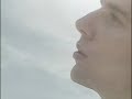 The Triffids - Wide Open Road