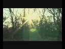 The Road Not Taken - Andy Heitz The Road Not Taken - Andy Heitz