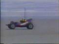 Tamiya Bigwig