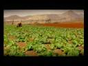 Boavista Island - Cabo Verde Boavista Island - Cabo Verde