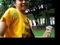 anino