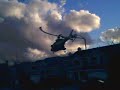 Airwolf t-rex Airwolf t-rex