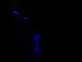 Simple Plan -  Swedish Flag, Swe 29/3-08