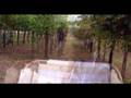 Tefila-The Moshav Band