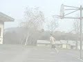 Dunks