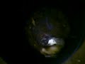 MOV00226.MP4