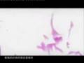 *Self Made MV: Kelly - Ji Shi Zha Dan 计时炸弹