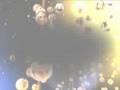 videos de El Poder de Ganar -  