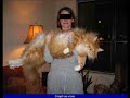 mon-chat-et-le-lave-linge.html