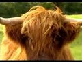 Jonathan Meades :: Worcestershire (4/5)