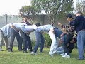 mega salto