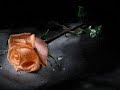 السود عيونه مود
