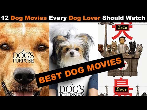 12 Dog Movies Every Dog Lover Should Watch
