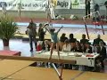 trave erika fasana