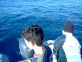 Pesca miracolosa