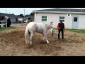My Kentucky Derby choice