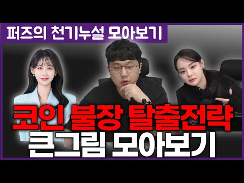 (추석특집) 퍼즈의 불장 탈출전략, 큰그림 모아보기